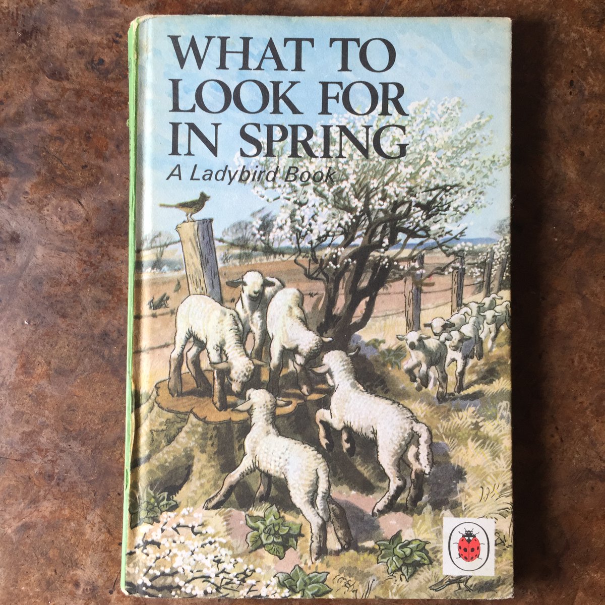 I love these Ladybird Books, the illustrations by Charles Tunnicliffe are charming. But if his illustrations were true to life, flicking through their pages in 2020 is a stark reminder of what we have lost from our landscape in just 60 years. (THREAD)