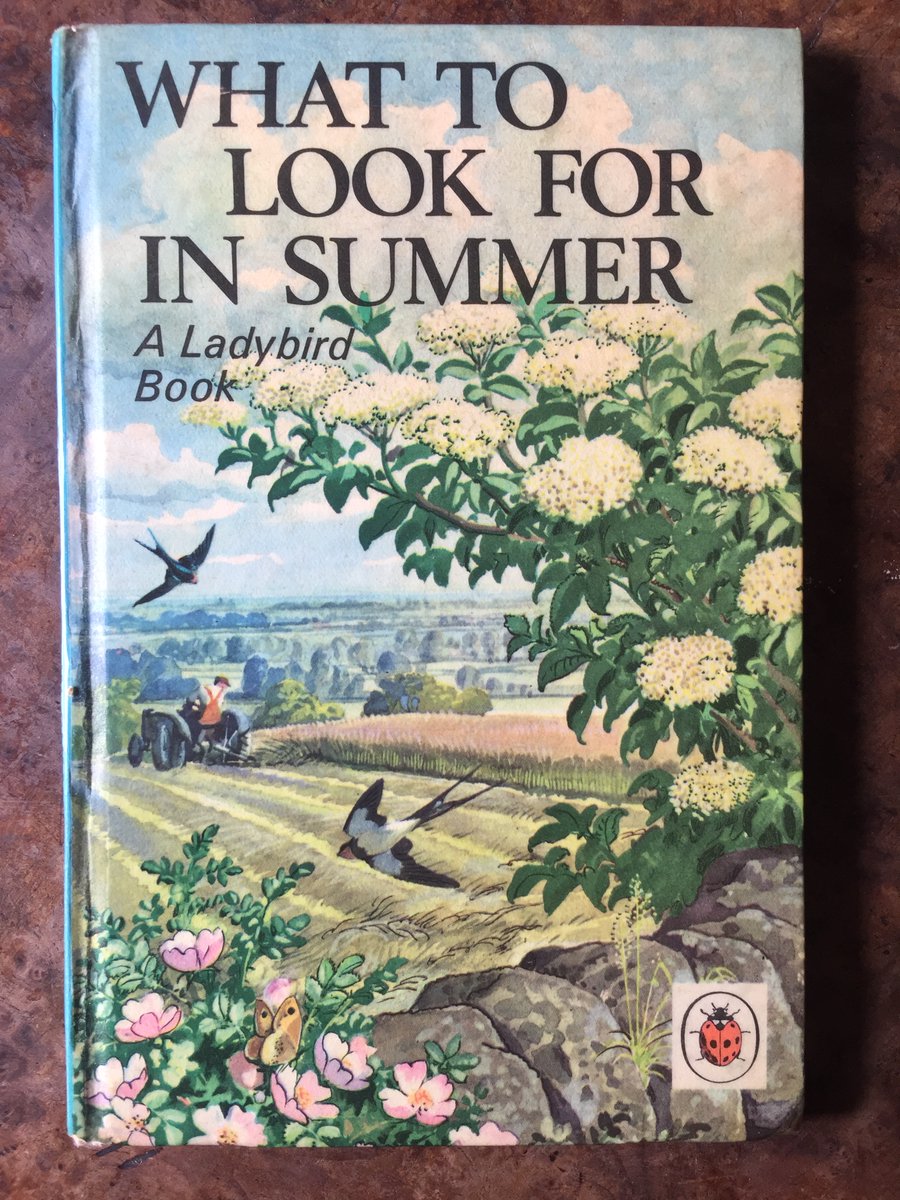 I love these Ladybird Books, the illustrations by Charles Tunnicliffe are charming. But if his illustrations were true to life, flicking through their pages in 2020 is a stark reminder of what we have lost from our landscape in just 60 years. (THREAD)