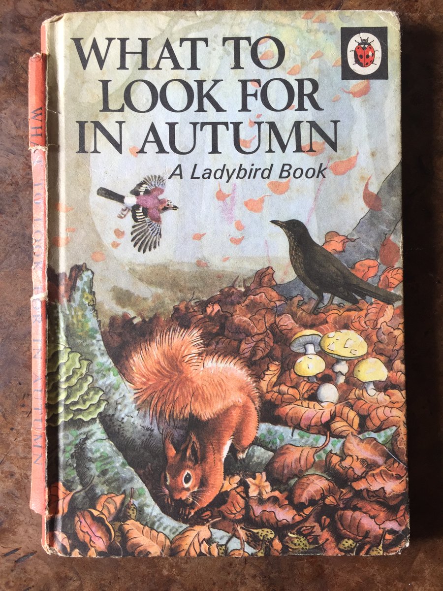 I love these Ladybird Books, the illustrations by Charles Tunnicliffe are charming. But if his illustrations were true to life, flicking through their pages in 2020 is a stark reminder of what we have lost from our landscape in just 60 years. (THREAD)
