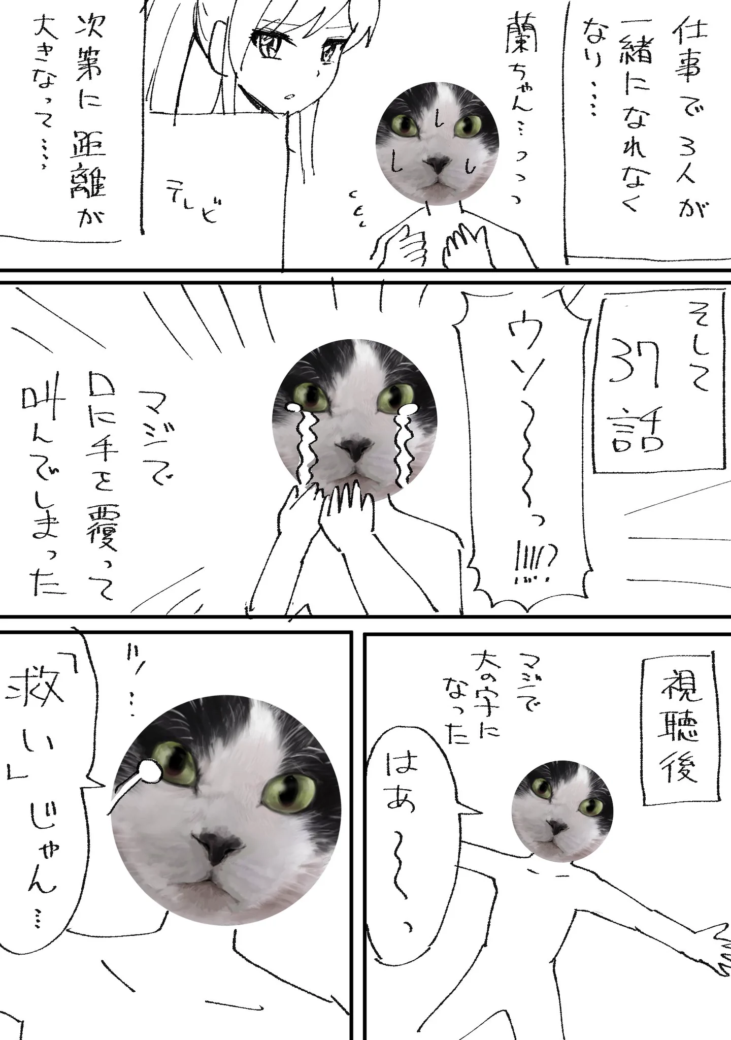 「アイカツ！」にハマった漫画家。人気の理由を分析解明！？