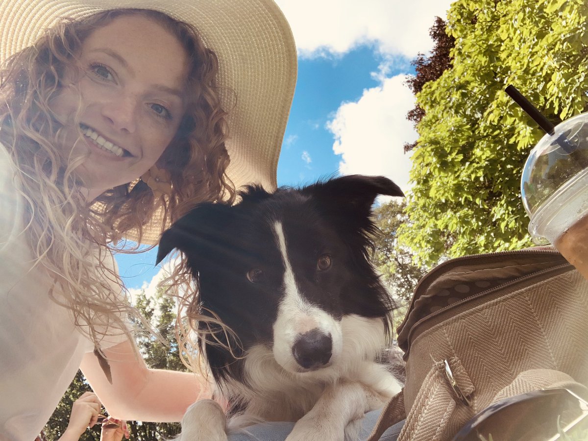 sally_speaks's tweet photo. #FMTW freelance+ picnic, complete w/#sunshine, kiddos, Meg the dog, and good conversations! Lovely to be together. 🎭☀️🐞 #theatrepeople #heartspace @FreelancersMake https://t.co/JzIu2F9XyF