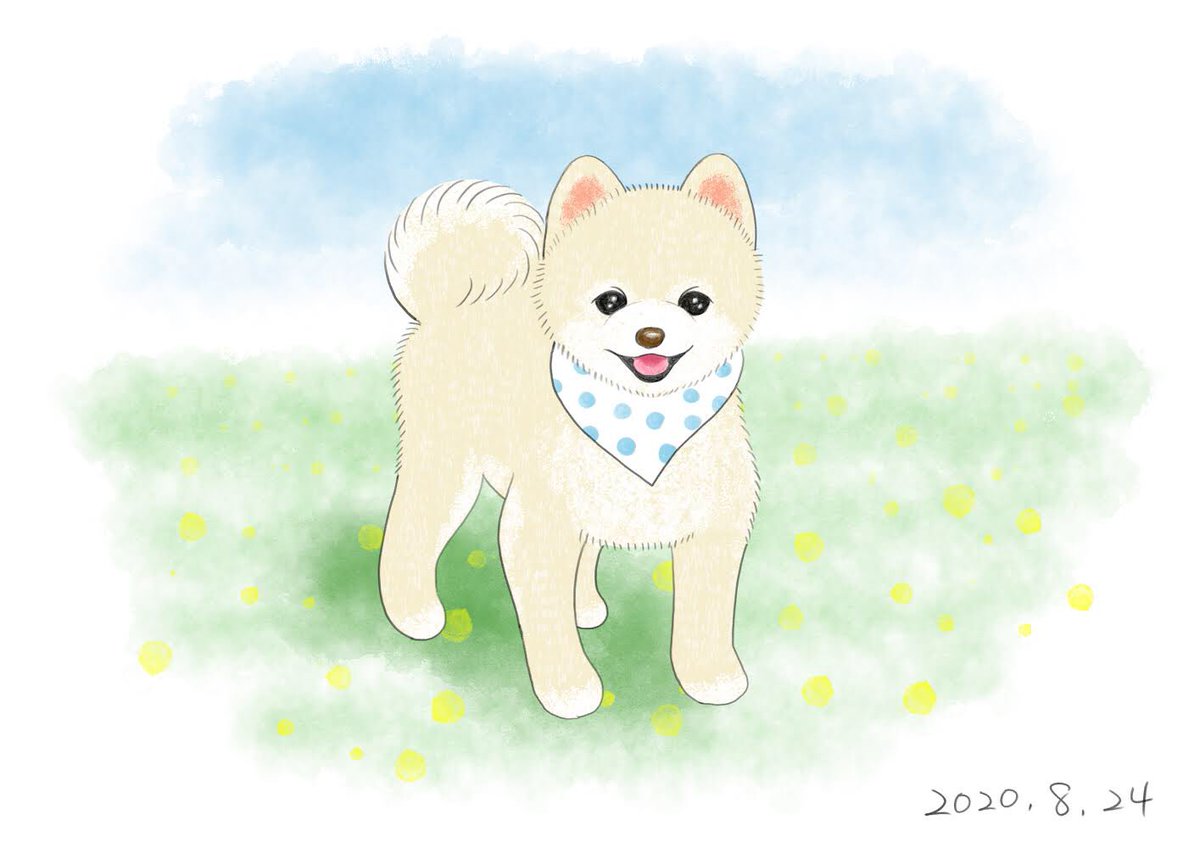 Chippoke ようこ 犬絵 61 柴犬カットのポメラニアン デジタル絵画 デジタルイラスト イラスト 犬イラスト 犬の絵 犬 ポメラニアン ポメ Chippoke犬絵