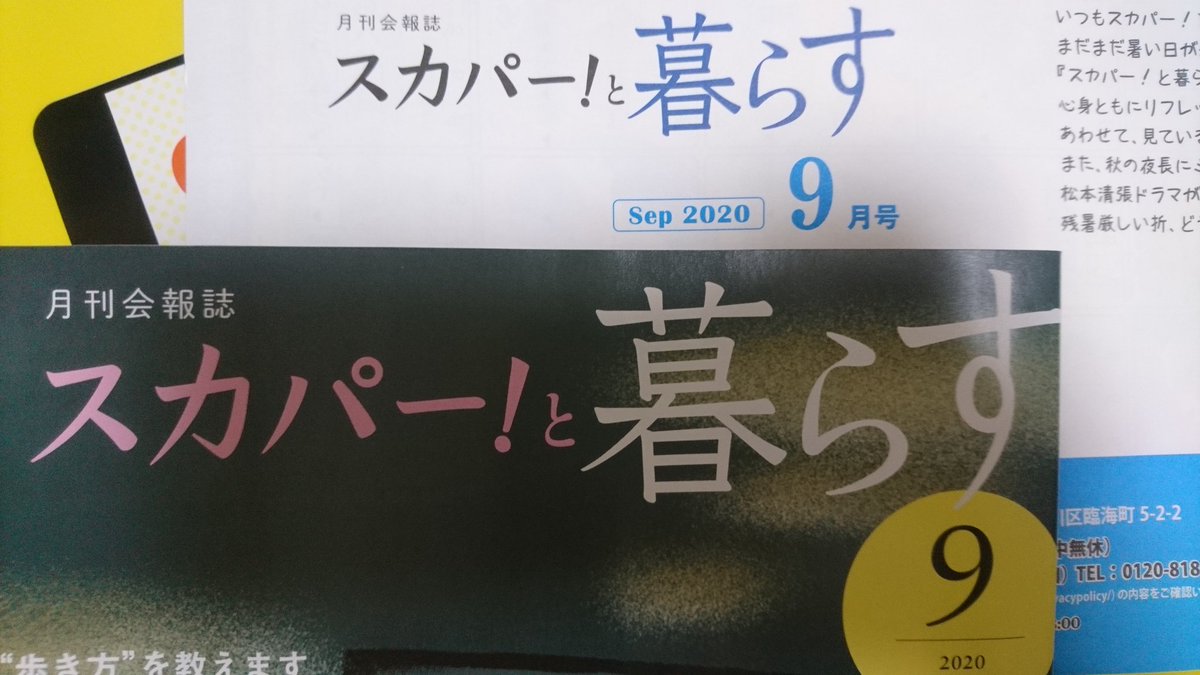 ビッグショー ビッグショー