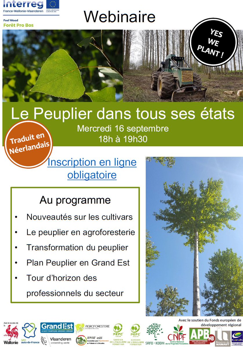 [#ForêtProBos] Un séminaire en ligne entièrement consacré au peuplier le 16 septembre prochain en soirée. Pour vous inscrire, c'est par ici 👉 foret-pro-bos.eu/fr/?option=com…