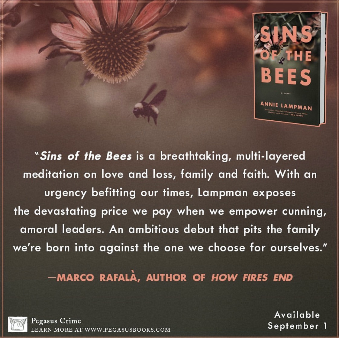 Earlier this year @AnnieLampman sent me a wonderful, kind note asking if I’d blurb her debut novel. I’m glad she did. Her #bookbirthday for #SinsOfTheBees is September 1 from @Pegasus_Books.  #debutnovel #literarythriller