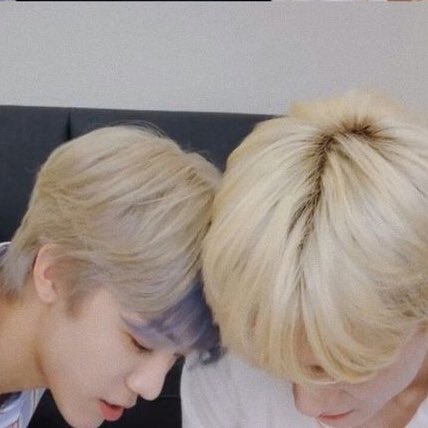 🌱mayday🐰(closed) tweet media