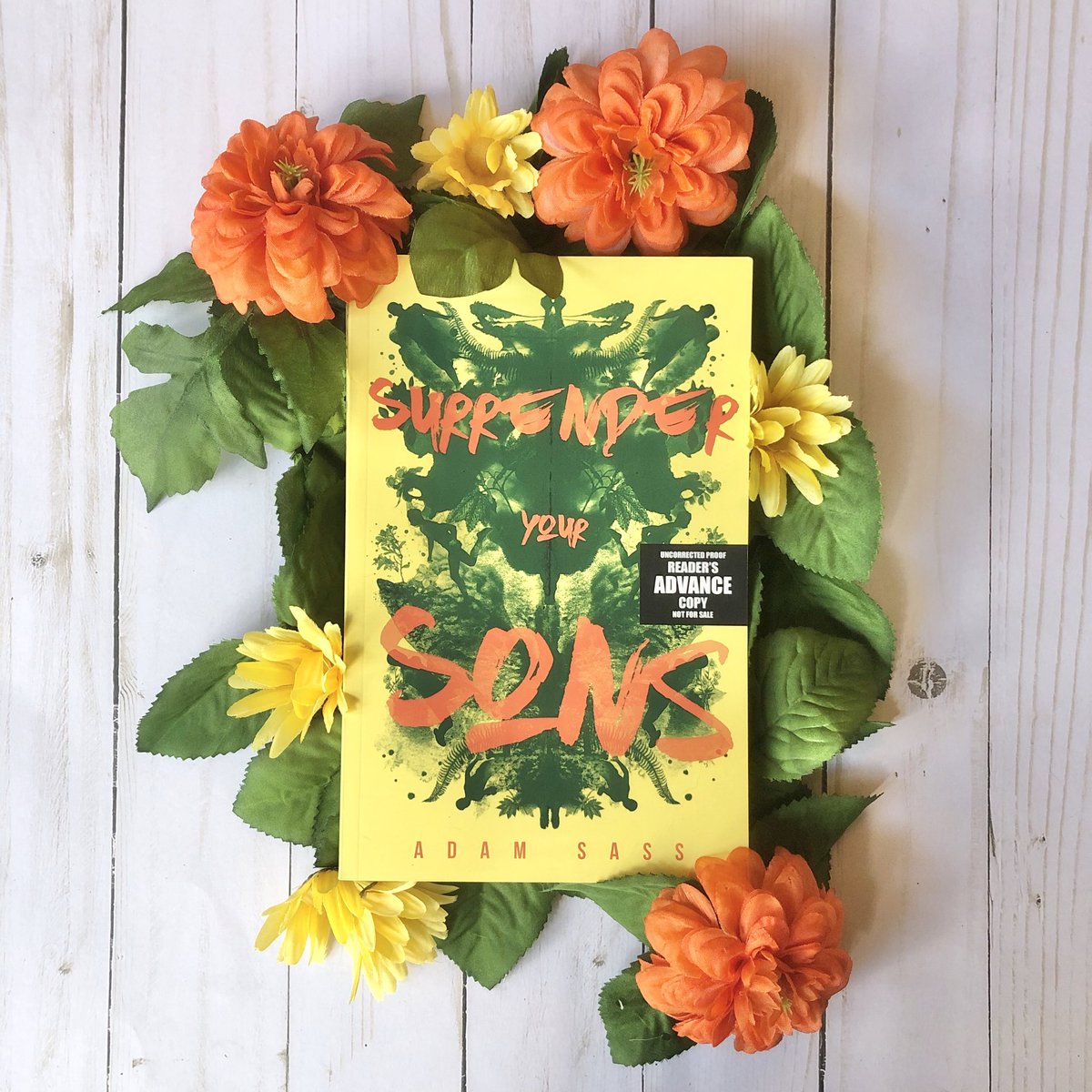 You know what? I'm doing a giveaway for a signed copy Surrender Your Sons by @TheAdamSass just because people really try it and this book is fantastic. SO.

F + RT and I'll pick a winner to send a copy from @mainstbooksdav. I'll pick Wednesday!

US only (I'm sorry! 😭)