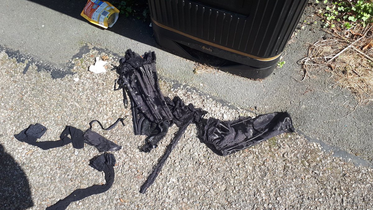 drharrietfletch's tweet photo. Another abandoned corset in Lancaster, maybe a goth has combusted in the midday sun and this is all that's left https://t.co/A4Boq5HIhL