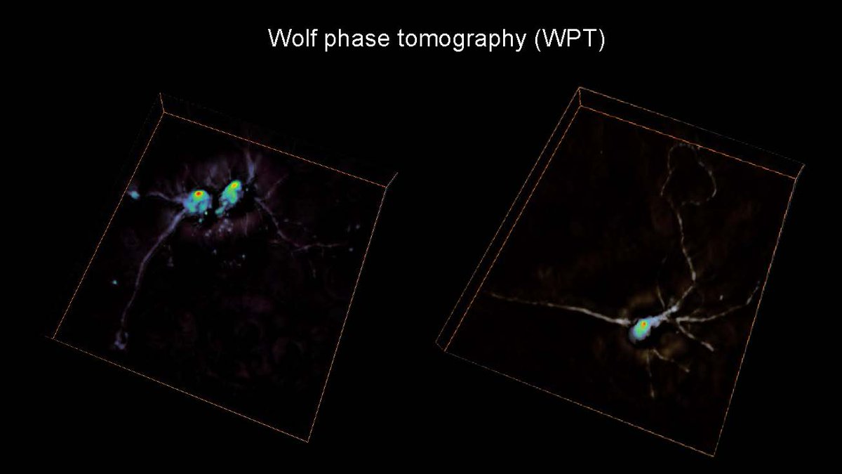 Popescu Lab tweet media