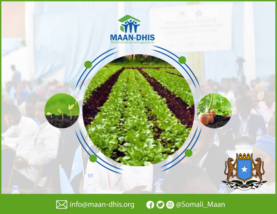 Maandhis_Youth's tweet photo. Somalia's estimate youth population is almost over 75% of whom most without skills, graduates with no job.These demographic have immense potential in our development. By investing in Agricultural sector we will create opportunities for our youth.
#Youth4GlobalAction #MYF2020 https://t.co/MpHihjwvb7