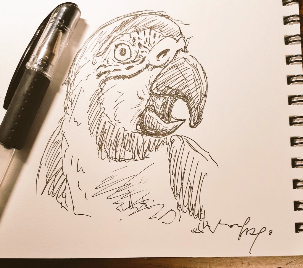 絵だろうか。 