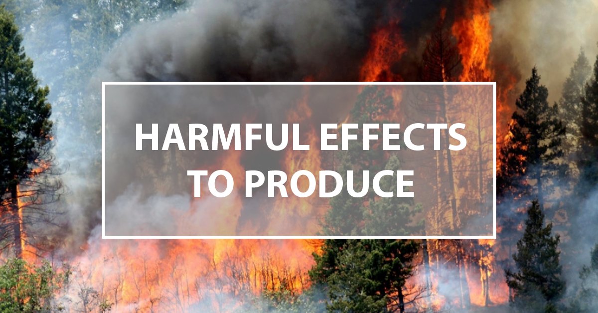 Fires cause increased exposure to human and environmental health risks by affecting your soil quality and the safety of foods you grow. Learn about the safety practices by UC ANR to reduce health risks when growing food after a fire: lnkd.in/dCaz_j8