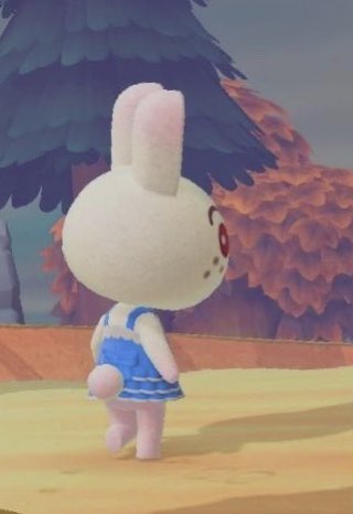 bigworldlilbee's tweet photo. am i the only one who NEVER noticed that ruby has PINK FUR??? i always thought she was 100% white https://t.co/v62SRj81Ud