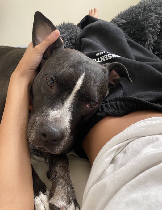 hello https://t.co/GUMdgb5lz6