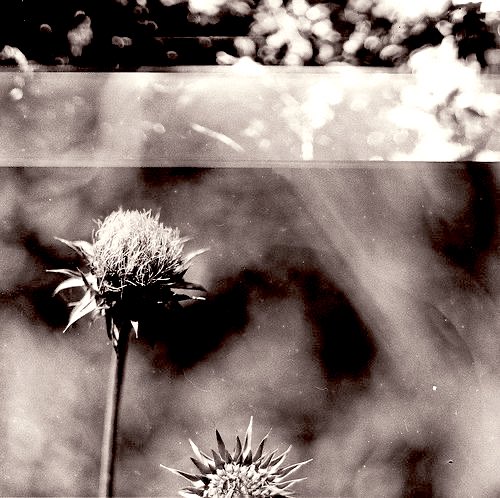 close sethpaye (@cigarseth) on Twitter photo 