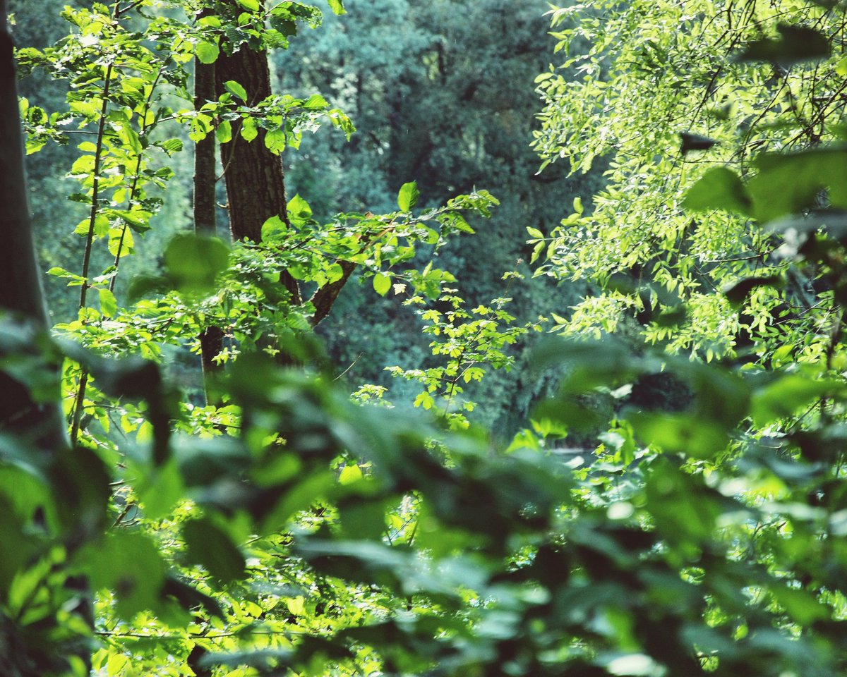 #earthovershootday
Wir brauchen nach wie vor einen Wandel, eine echte #Transformation, unserer #Lebensweise!
Damit unsere Erde das gemeinsame #Haus bleibt, für uns und alle Menschen heute und morgen!
•
#natur #environment #zuversicht #ausliebezummenschen #papst #laudatosiweek https://t.co/XO5H8gI5cP