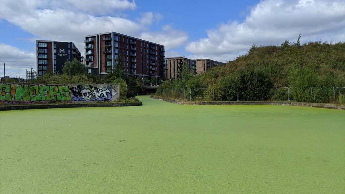 From there it becomes a basin, which was restored in 2008 for the new development  @MiddlewoodMcr