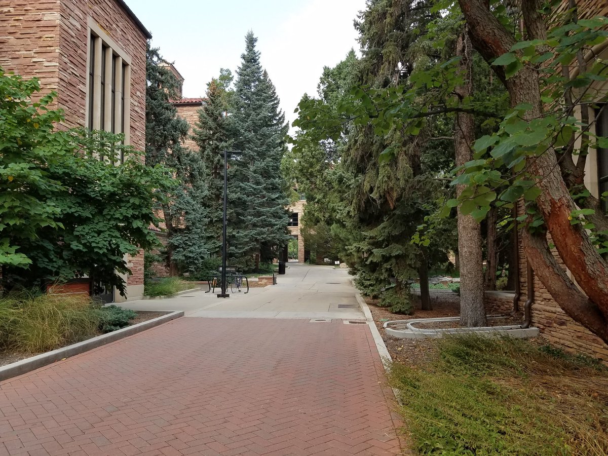 Move-in, aside from the masks, actually felt pretty normal. But the vibe today on campus can only be described as eerie. Freshman Jayden, who had Norlin Quad almost to herself: "This is definitely not what I pictured."