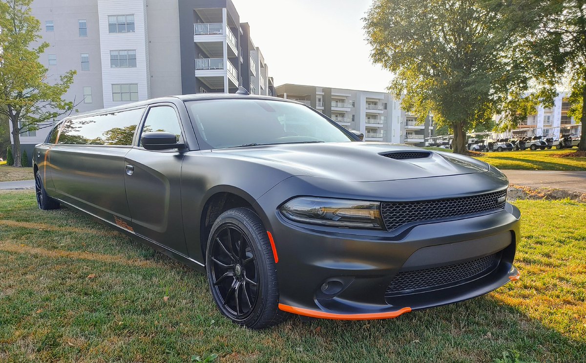 AnthonyRothman's tweet photo. We are Charged Up!!!!
@xtreme_limo w/our ultimate raffle prize! A night in this bad boy! 
#AnimalRescueOuting
#HomelessToHome 
#GolfClubLittleTurtle https://t.co/lwy2noPr4R