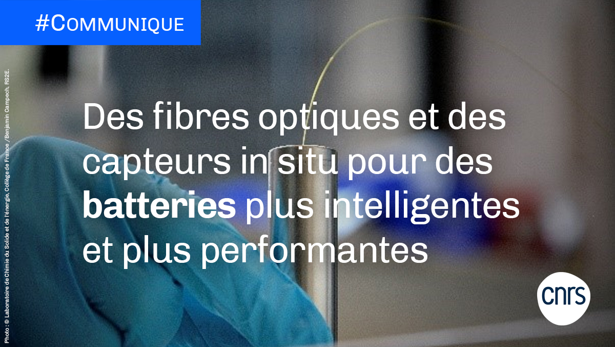 CNRS 🌍 tweet media