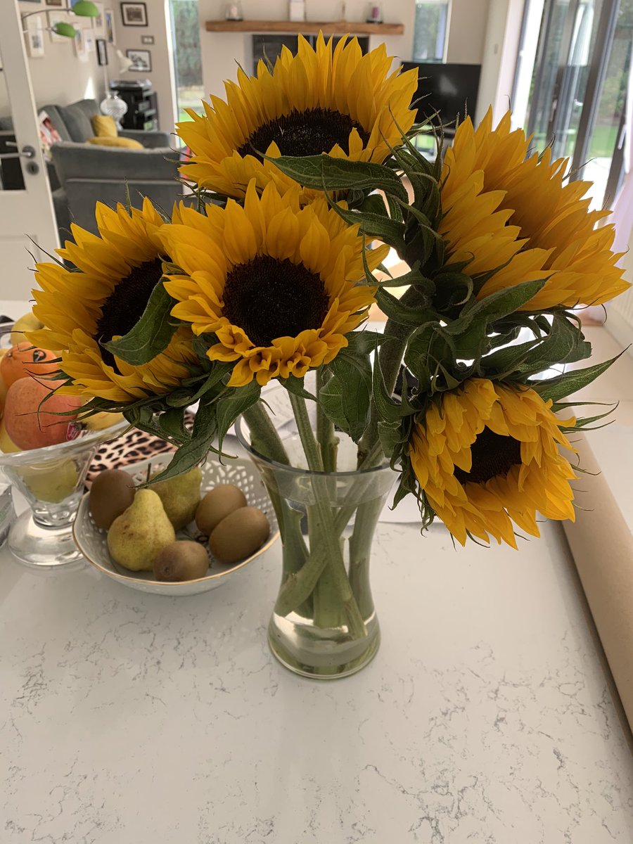 cleo_choice_'s tweet photo. Bought some sunflowers in honour of the comeback 🌻
@official_ACE7 #ACE #에이스 #호접지몽 #胡蝶之夢 #HJZM #도깨비 #ACE_COMEBACK #ACE_JunTeaser #dailychoice #choice https://t.co/fdvCJOAE00