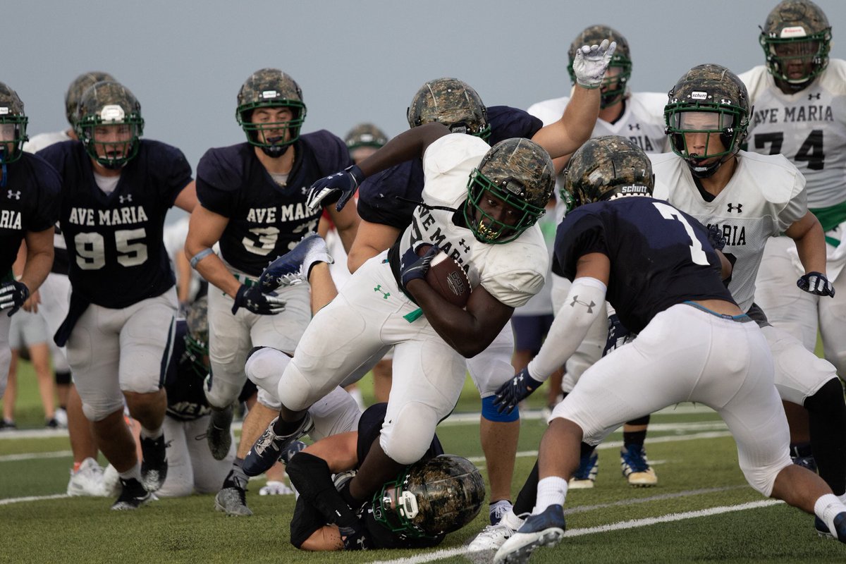 Ave Maria Athletics tweet media