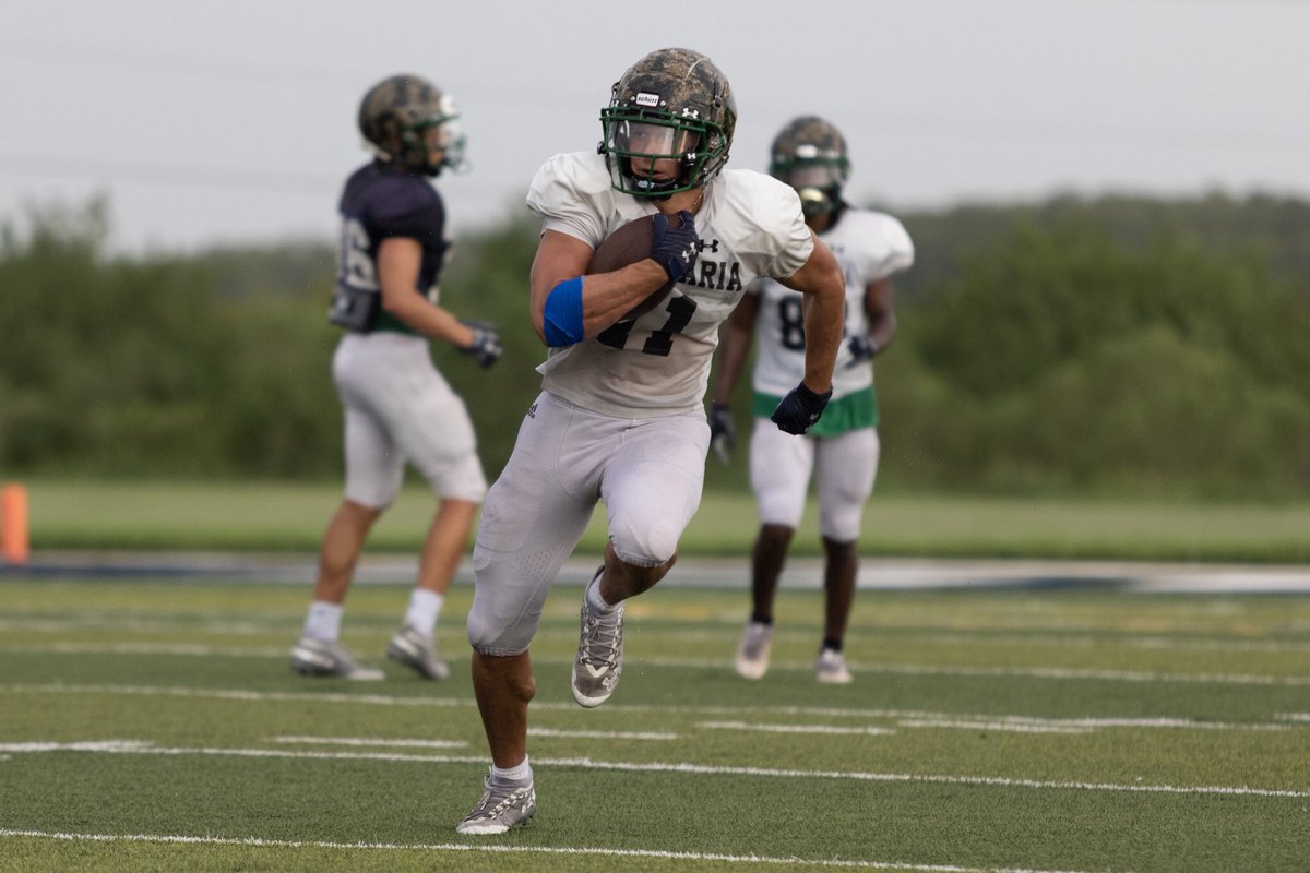 Ave Maria Athletics tweet media