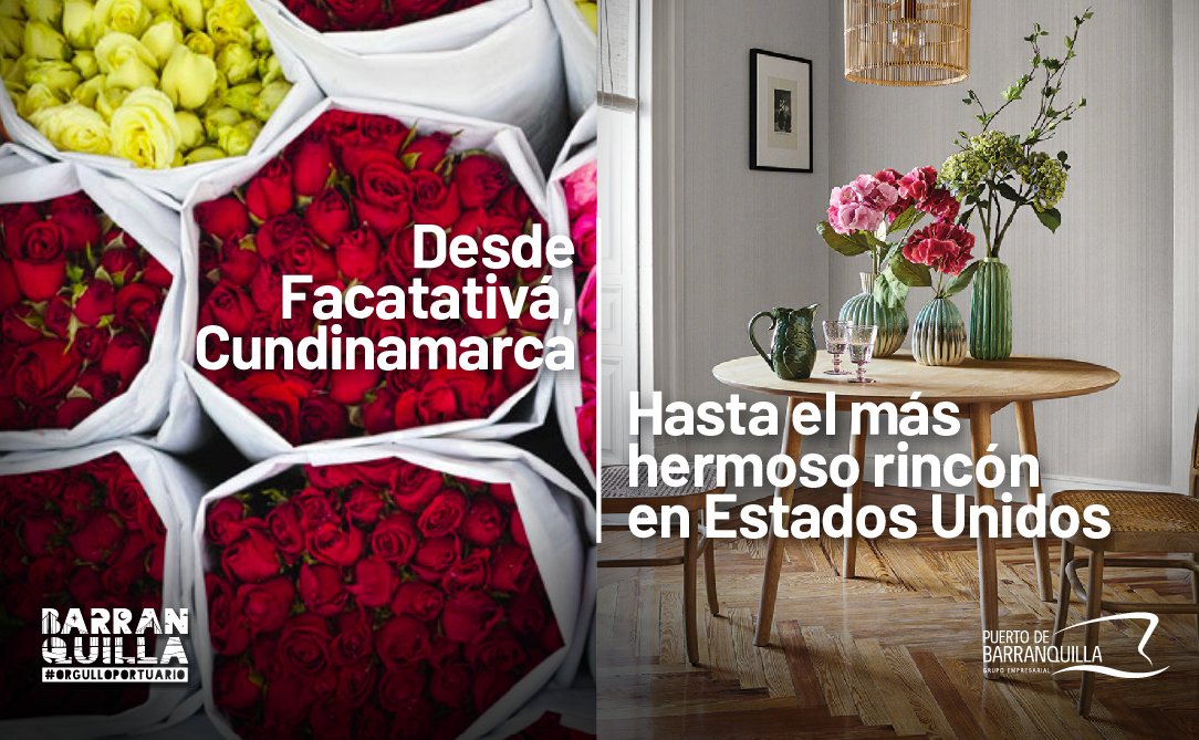 puertobq's tweet image. Más de 3.285 toneladas de flores colombianas fueron exportadas en #contenedores refrigerados a través del @puertobq el año pasado. #OrgulloPortuario es brindar la infraestructura idónea a los floricultores nacionales para conectarlos vía marítima con el resto del mundo.