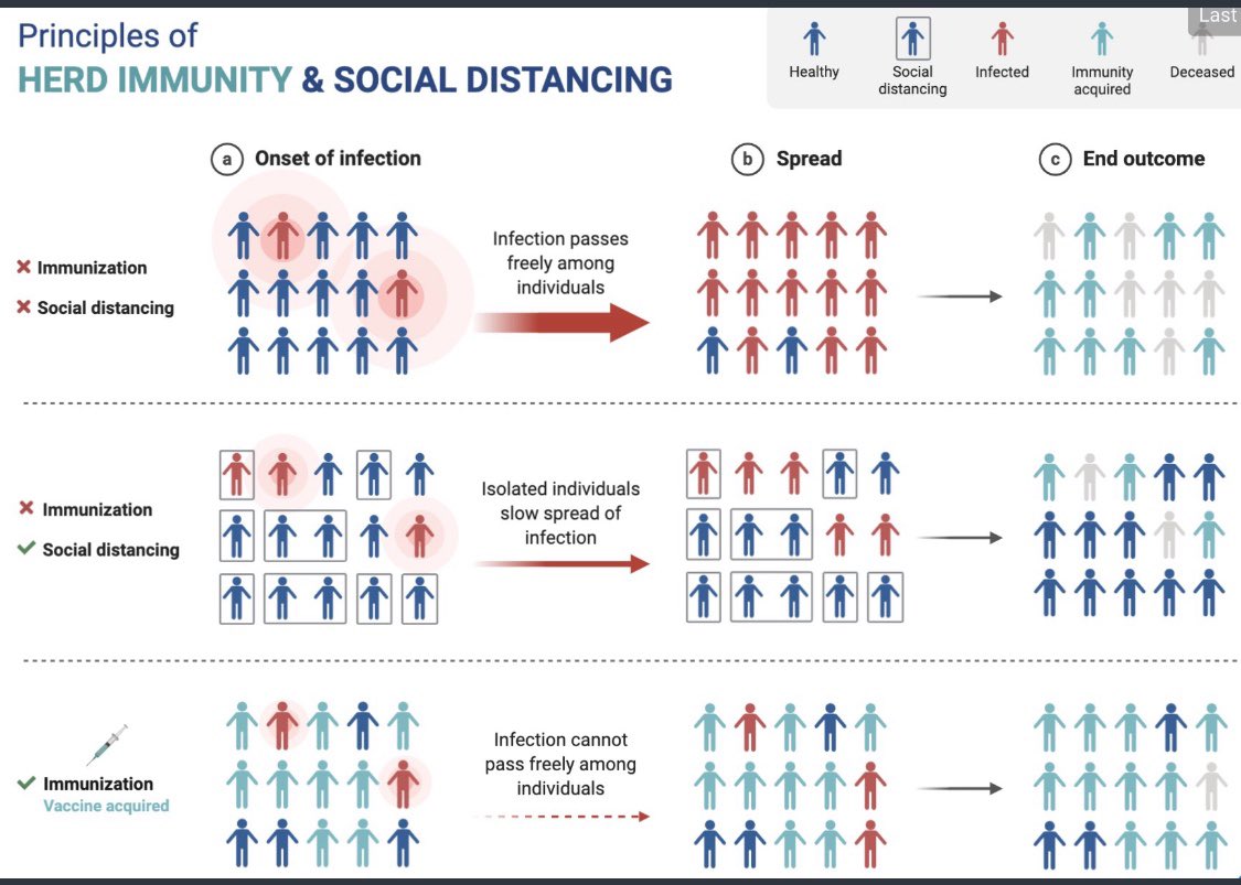 Great thread by Yale immunologist Akiko Iwasaki on press release concerning Hong Kong reinfection. Study. No need for alarm and her diagram also explains why vaccination is the safest way to achieve herd immunity.