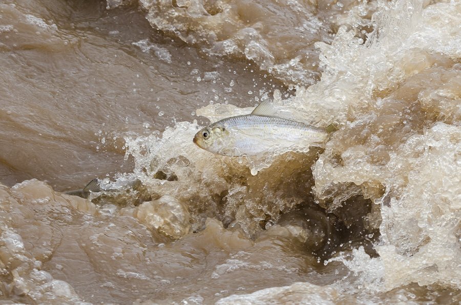 Mike Stokesbury tweet media