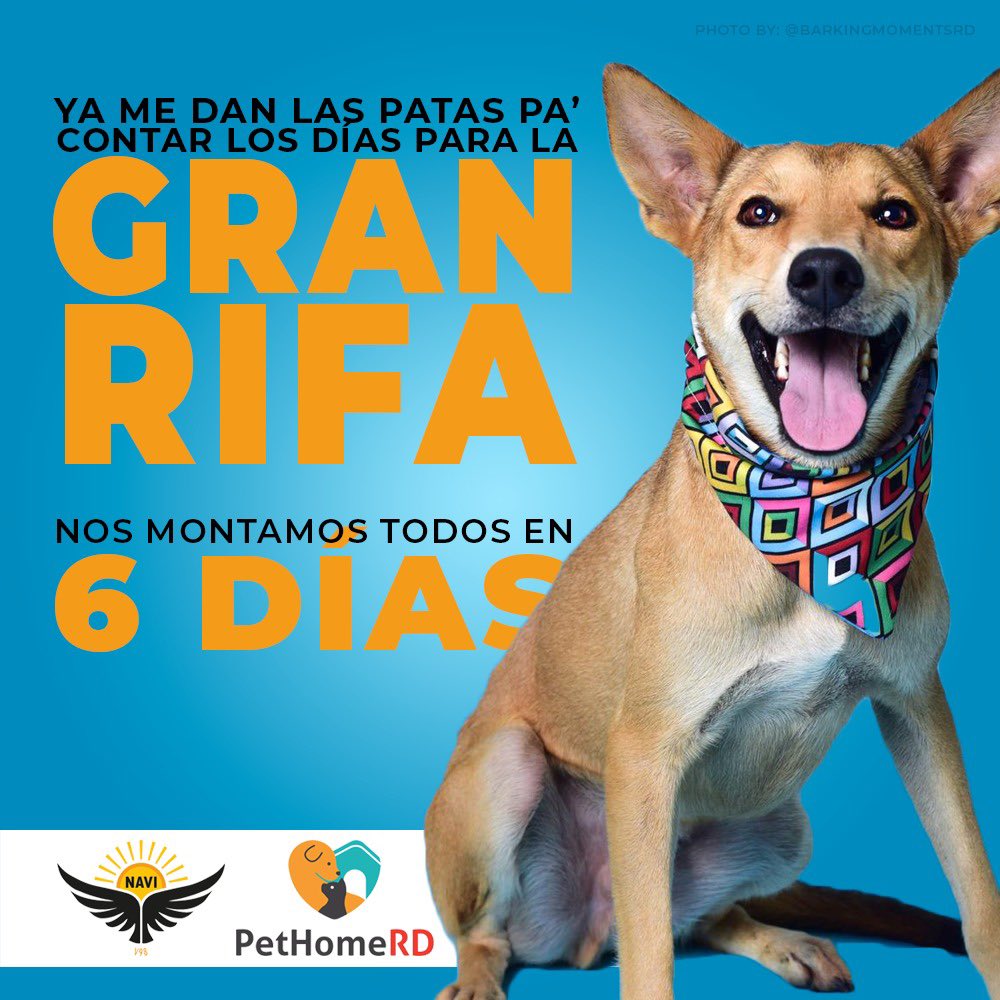 NaviV98's tweet photo. A Alex de días para la Gran Rifa!no te quedes fuera. 500 pesos para apoyar a la construcción del Albergue para Firus!!! 
Cuéntanos contigo. Todos los #perrosdelacalle esperan por ti! 🥰😊 https://t.co/r4V84RBoBD