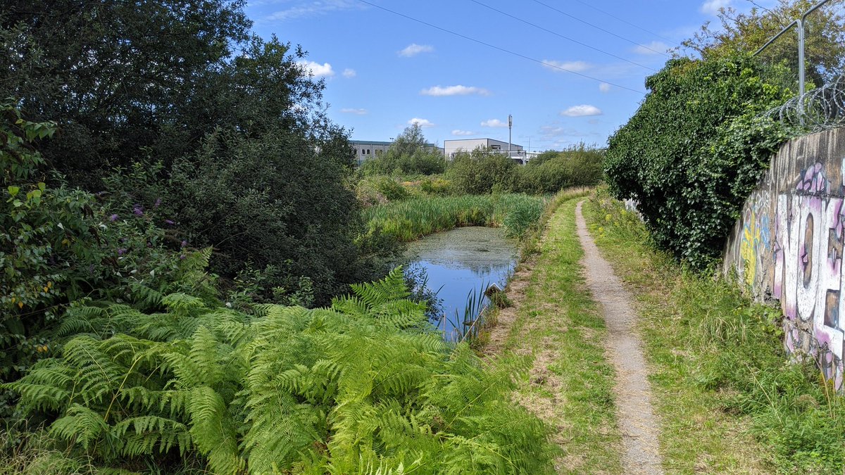 This is the final section before the canal goes under Park House Bridge, where you can rejoin it on bike or foot. You can walk or cycle (gravel or mountain bike) this section for a while until it gets fairly inaccessible, but worth a good gander.
