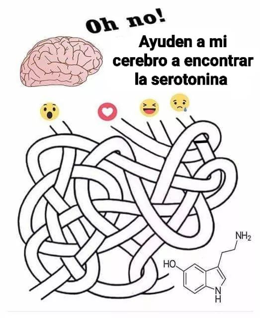 Jaja en busca de mi neurotransmisor