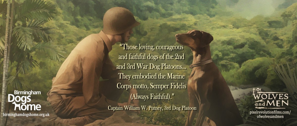 pixelrev's tweet image. 2 days to go until the launch of our film OF WOLVES AND MEN!
@nigeldaveyfilms @SallyWood @chroniclesfleur @BhamDogsHome 

#Pawsitivity #dogs #wolves #mansbestfriend #shortfilm #wolvesandmen #animation #semperfidelis