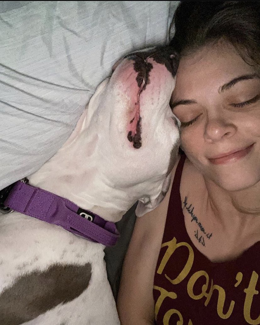 whtvr_Dixie_'s tweet photo. The cuteness picture that you will ever see just bleesing you’re timeline @jessamynduke #IsisPuppy Precious https://t.co/8ImoENkvT1