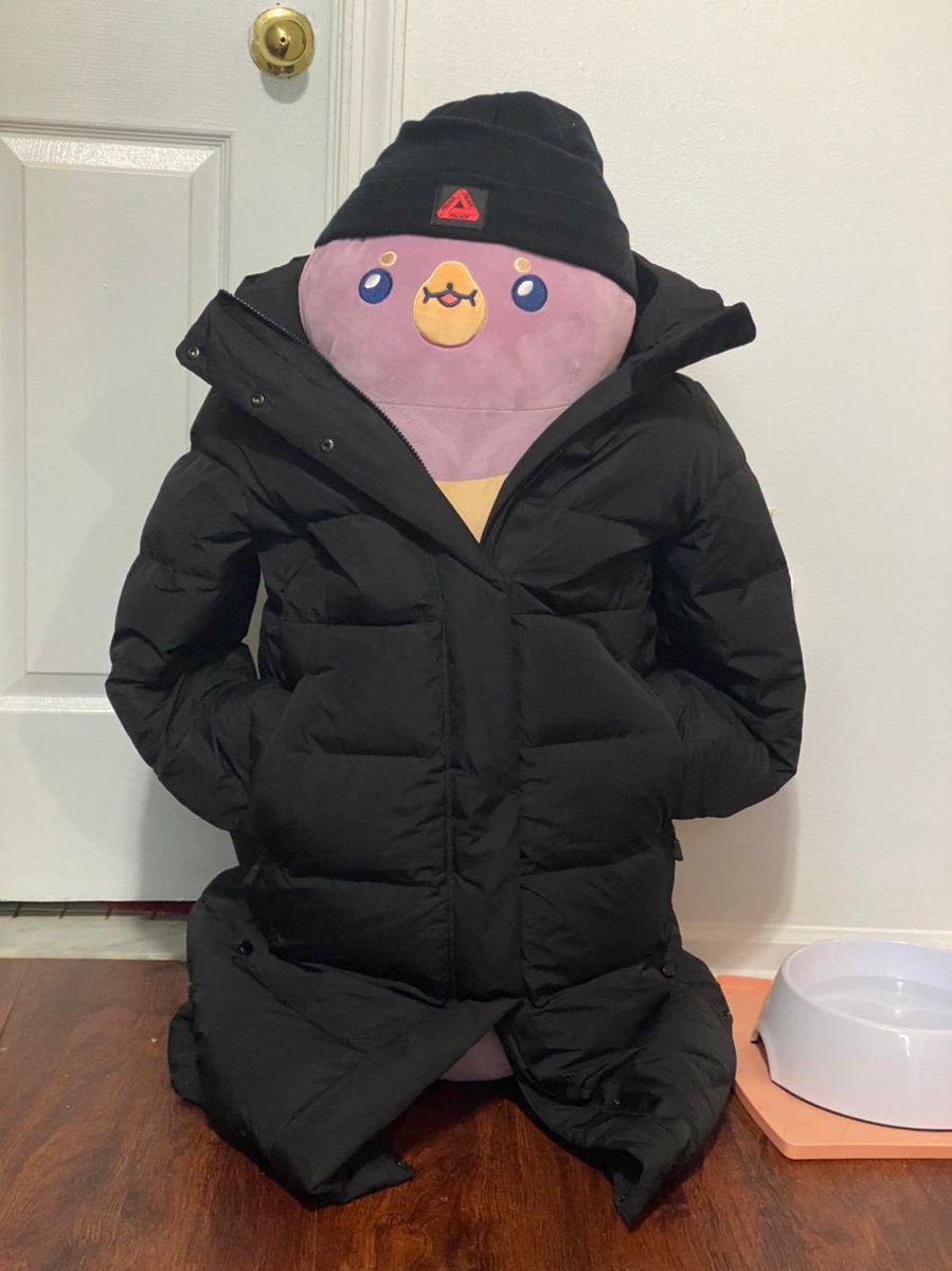 RICH WONT STOP SENDING ME DANYGOM IN DIFFERENT JACKETS IM CRYING
