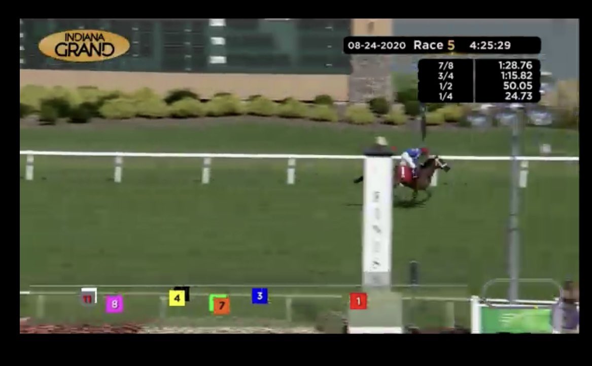 💥💥BIG UPDATE FOR BOOK 2 <a href="/keenelandsales/">Keeneland Sales</a>!! 2 yo CECILE’S CHAPTER rolls for <a href="/bradcoxracing/">Brad H. Cox Racing</a>. Find her 1/2 bro by <a href="/winstar/">winstar</a> stallion CONSTITUTION, Hip 1159  @taylormadesales <a href="/TaylorMadeMark/">Mark Taylor</a> 
<a href="/gforce/">Gratianne Quade</a> #TwinCreeksRaised