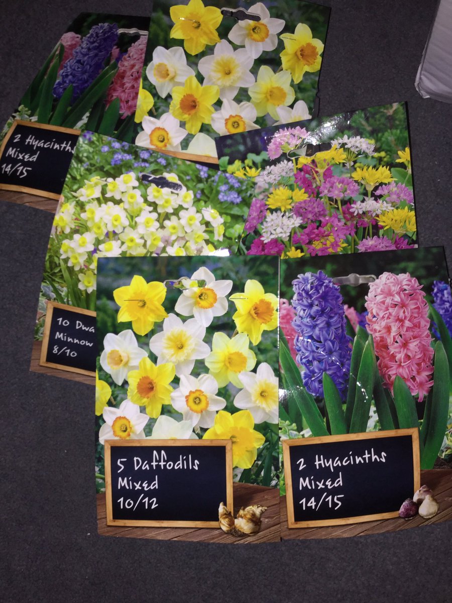 AdibahKhan's tweet image. ‘Watch out Spring, here I come; with my Pound shop wonders!’☀️-