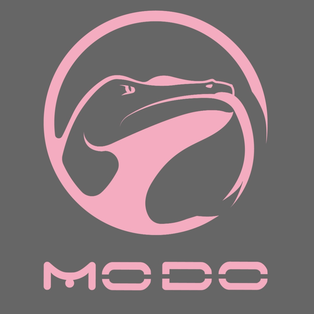 modoracingd's tweet photo. MODO  #forher #Racing #developments and worldclass accseories for  #adventureriders #arroundtheworld  visit https://t.co/H6G5hzZatS #designedinguadalajara #designedinmexico https://t.co/hMUNOssSbQ