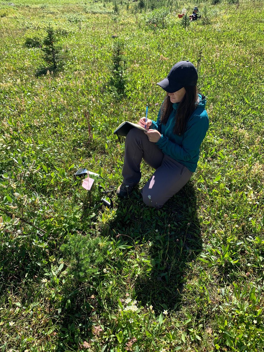 Global Water Futures (@gwfutures) on Twitter photo .<a href="/CentreForHydro/">Centre For Hydrology</a> & <a href="/UWaterloo/">University of Waterloo</a> researchers are at the Fortress Mountain Laboratory today measuring #evapotranspiration from an alpine #wetland as part of our
<a href="/MWFutures/">MountainWaterFutures</a> project! .<a href="/CentreForHydro/">Centre For Hydrology</a> & <a href="/UWaterloo/">University of Waterloo</a> researchers are at the Fortress Mountain Laboratory today measuring #evapotranspiration from an alpine #wetland as part of our
<a href="/MWFutures/">MountainWaterFutures</a> project!
