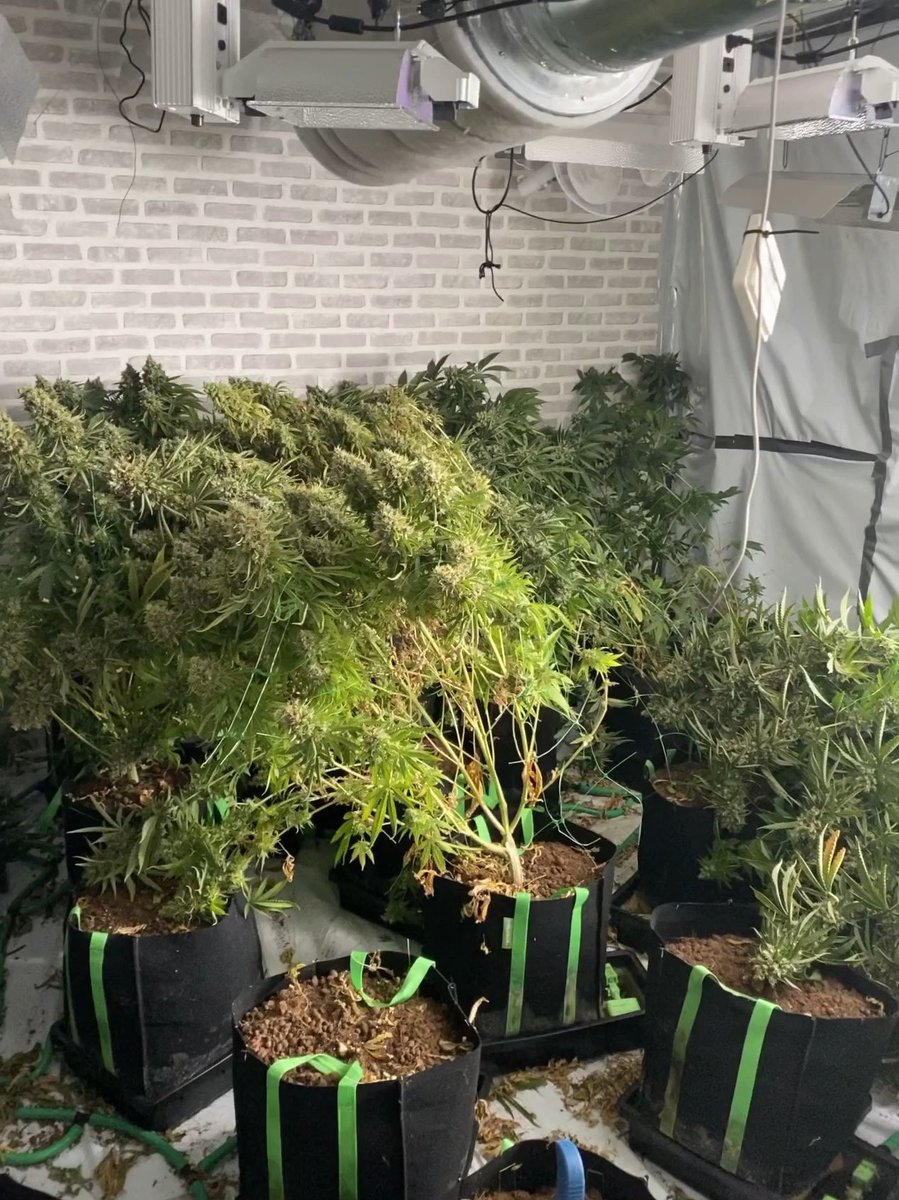 PC 79820 Wilshire tweet media