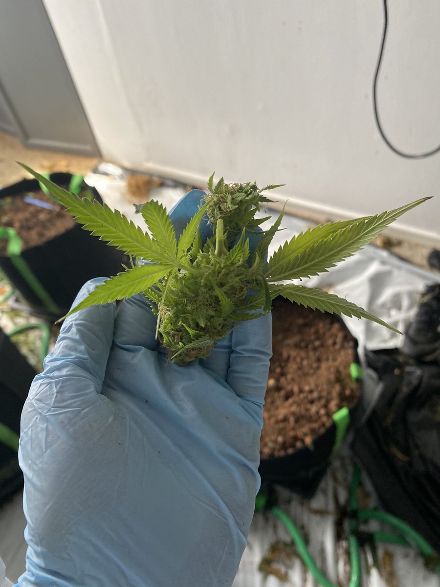 PC 79820 Wilshire tweet media