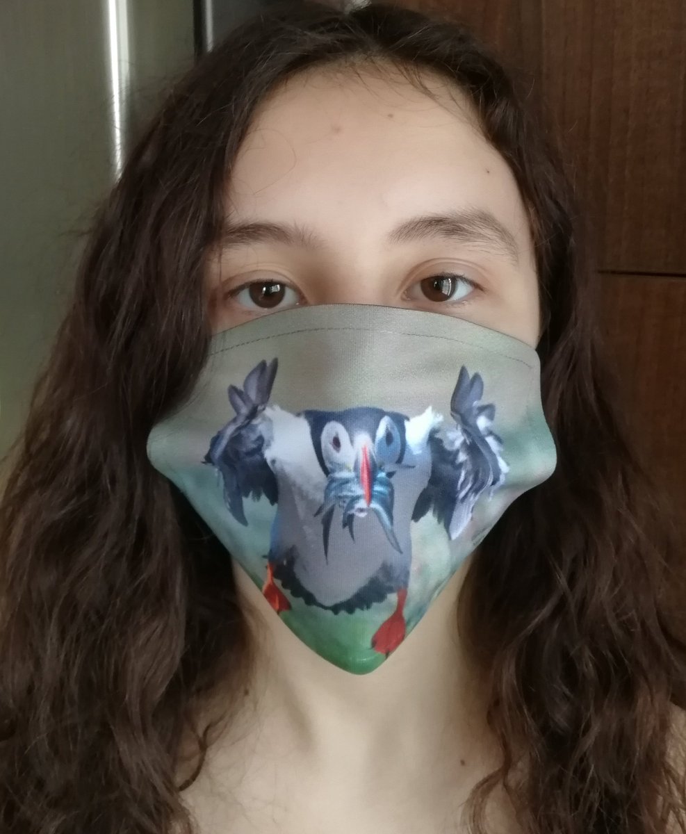 Buy 'incoming Puffin' here; https://www.carlbovis.com/product-page/face-mask-incoming-puffin 