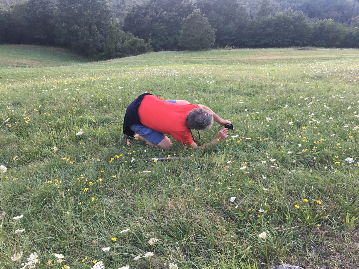 _Boethos's tweet photo. @biopoetics Watching the photographer roll with the evening https://t.co/nARMr1frQ2