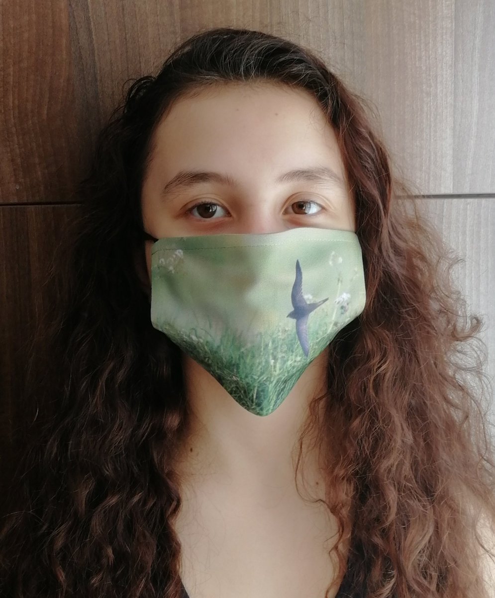 Buy 'Low flying Swift' here; https://www.carlbovis.com/product-page/face-mask-low-flying-swift 