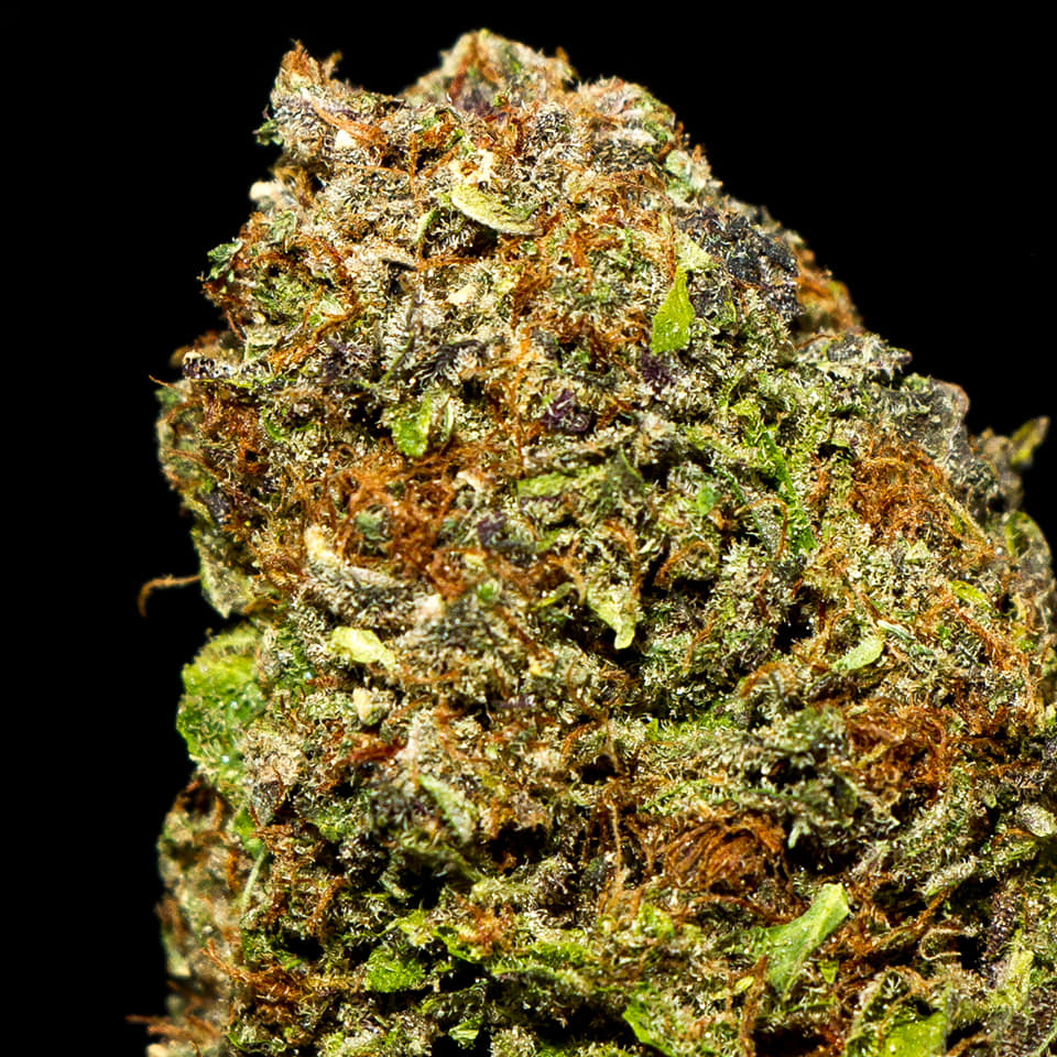 ChoicePowered's tweet image. #PoweredByChoice