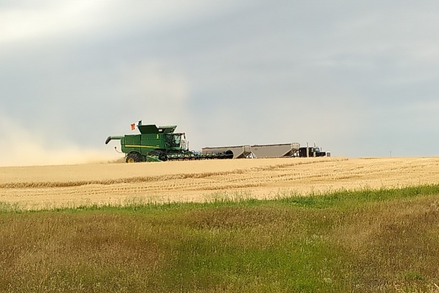 EnviroLogix's tweet photo. In west central Saskatchewan, harvest is underway! via West Central Online
https://t.co/2oJ65JuG27
#agriculture #crops #rye #wheat #peas #lentils #barley #GlobalFoodSupply #FoodSupplyChain #Canada #TestingIsKnowing https://t.co/9MTK4w5TN4