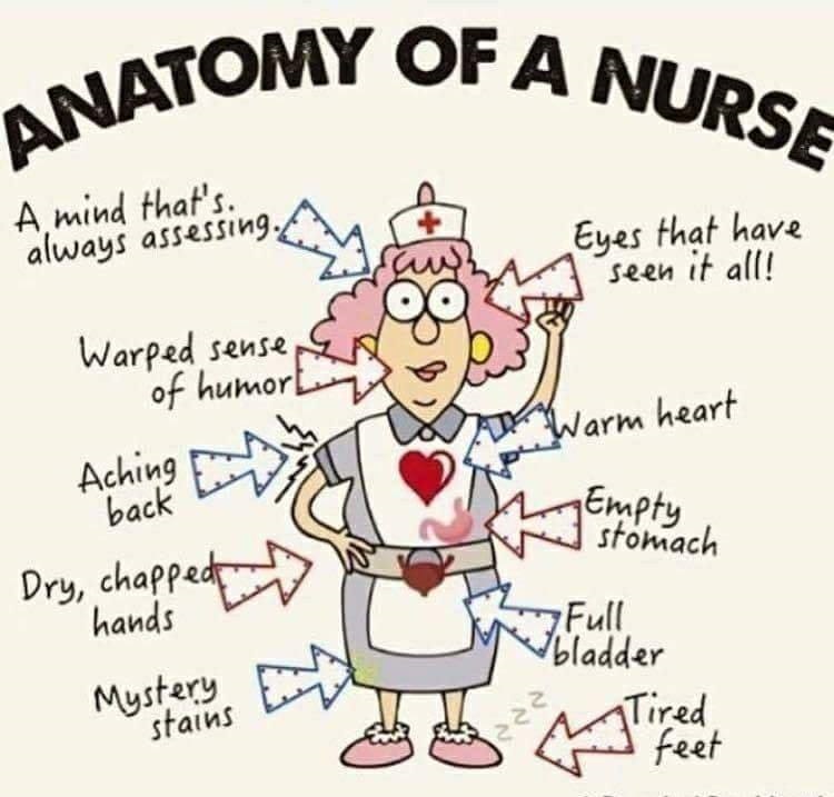 LNeteland's tweet image. Update Levensloop Neteland 2020 - mailchi.mp/a7eb155bbd8e/l…