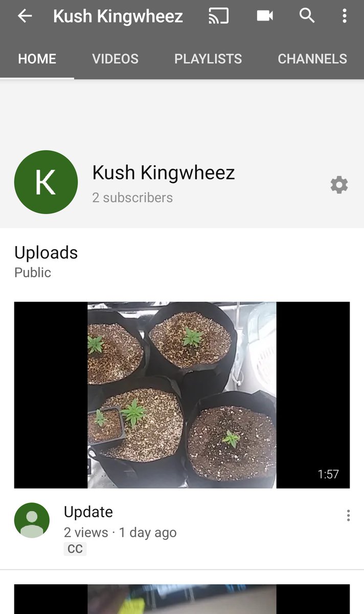 Kush KingWheez♐ tweet media