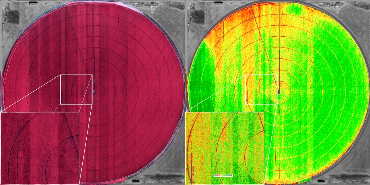 TerrAvion tweet media